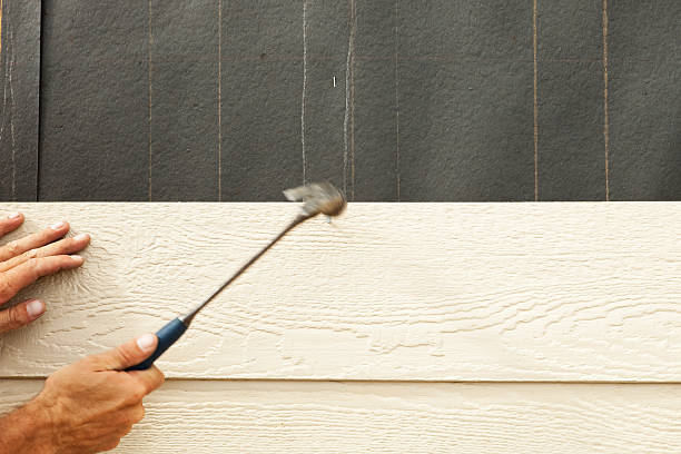 Best Engineered Wood Siding  in Topaz Ranch Estates, NV